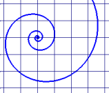 log spiral